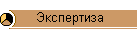 Экспертиза